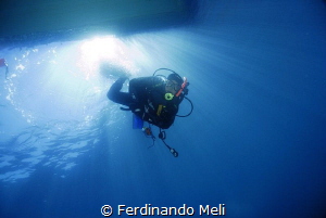 Into the deep by Ferdinando Meli 
